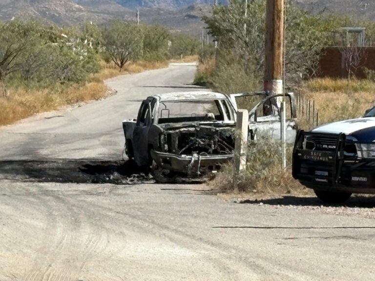 WhatsApp Image 2025-10-30 at 1.43.33 PM