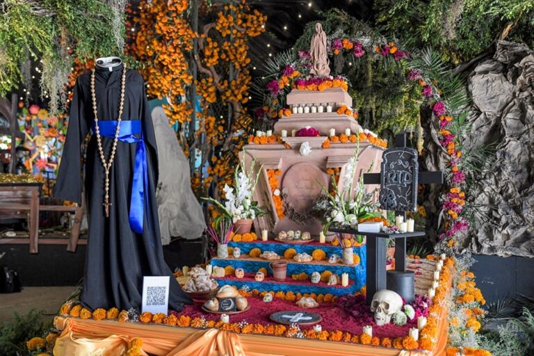 WhatsApp Image 2025-10-30 at 1.57.48 PM