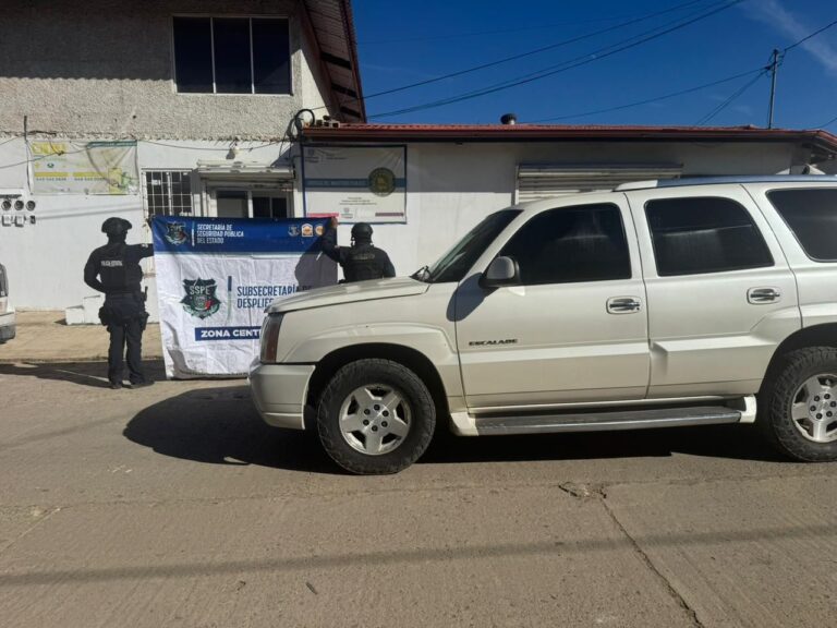 WhatsApp Image 2025-10-30 at 9.08.41 AM