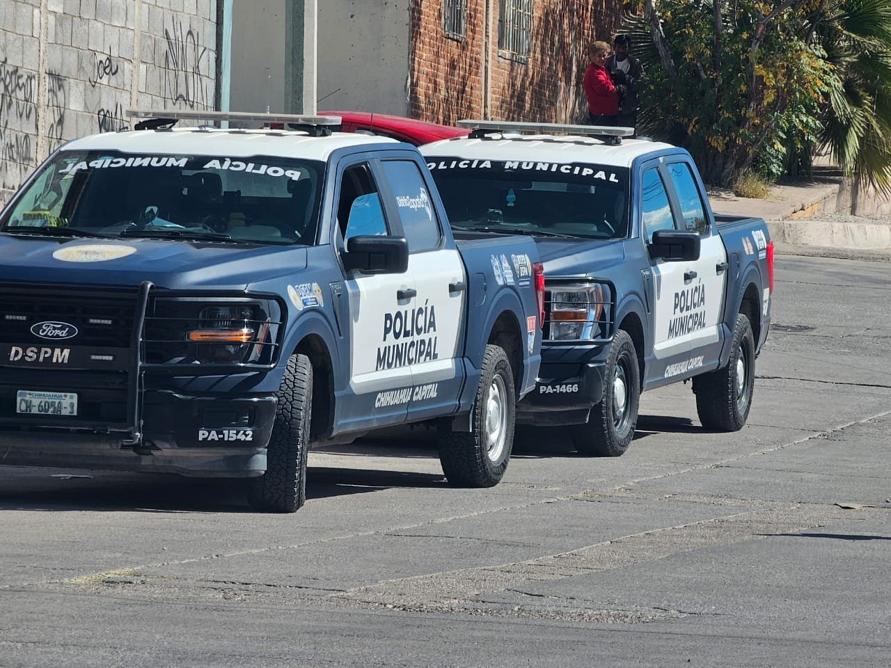 WhatsApp Image 2025-10-31 at 1.28.16 PM