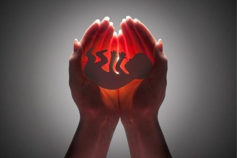 abortion-quickening-1024x683