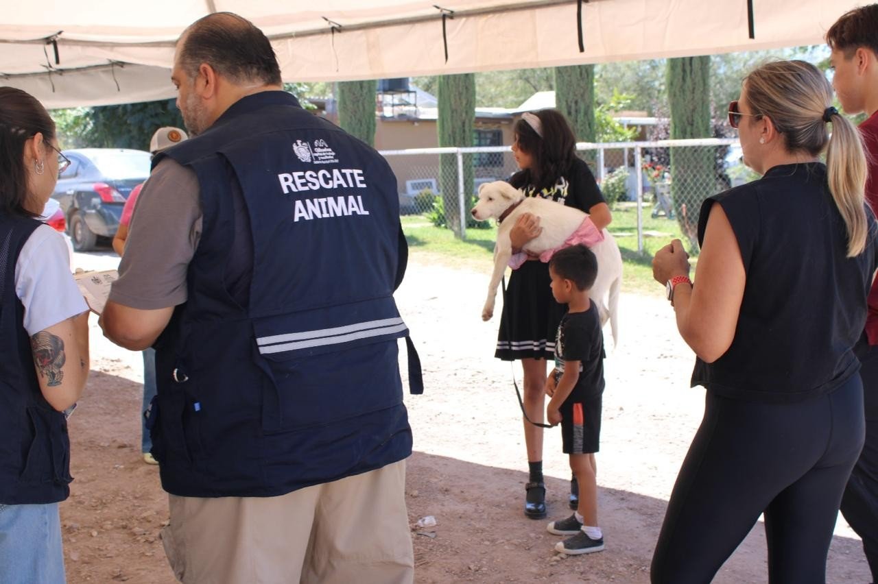 imagen-de-whatsapp-2025-10-05-a-las-115513-4749aac1-74mjGywdO