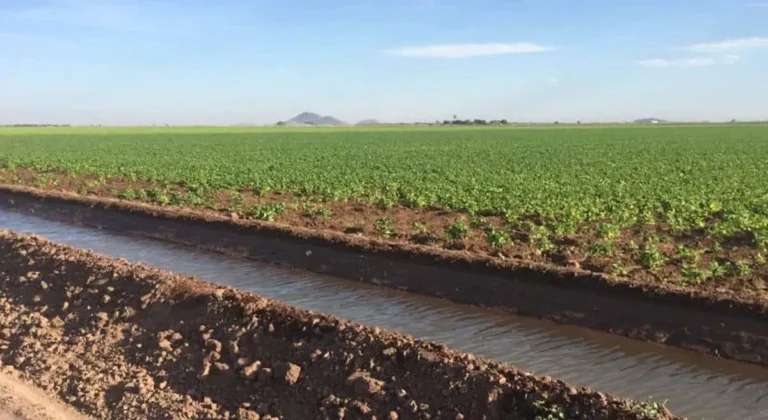 mejorar-riegos_1-focus-0-0-1479-828