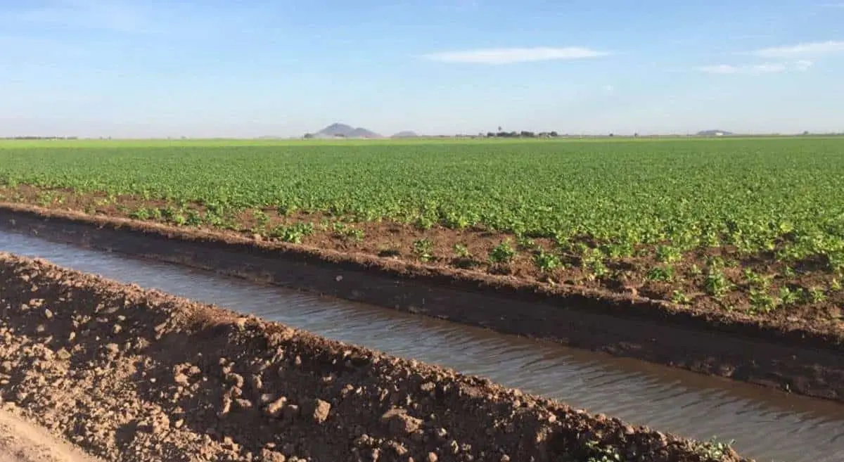 mejorar-riegos_1-focus-0-0-1479-828