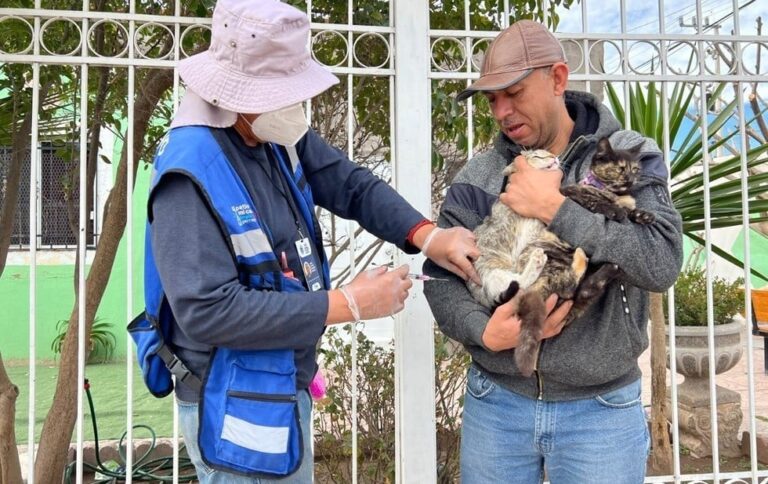 ricketssia-dnwrwgb6c-m44xrqmtl-JEnCNlkBD