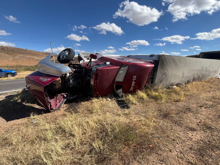 3cb33117-31a3-4391-ac1a-d4f93e935dfd