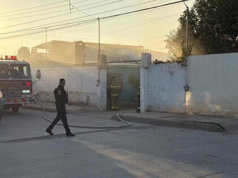 47a507c1-c54a-4160-b4a2-6bd89b81b31f