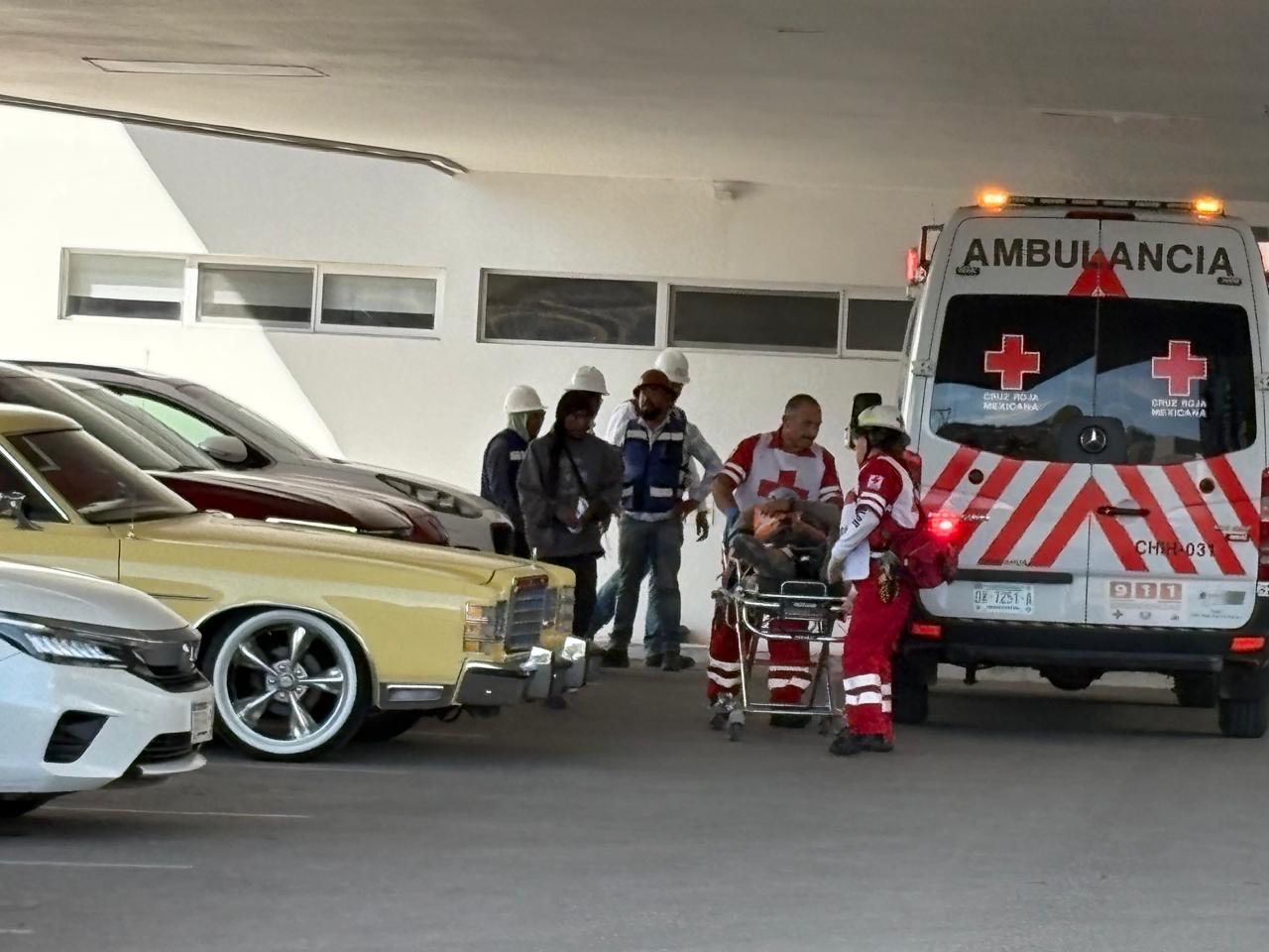 838abf74-7277-4fb7-84f6-e4177d967aea