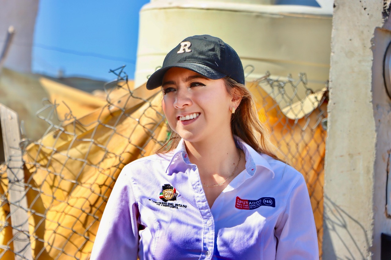 8dca40a5-668d-4d43-95e7-9e2abe5fdb08