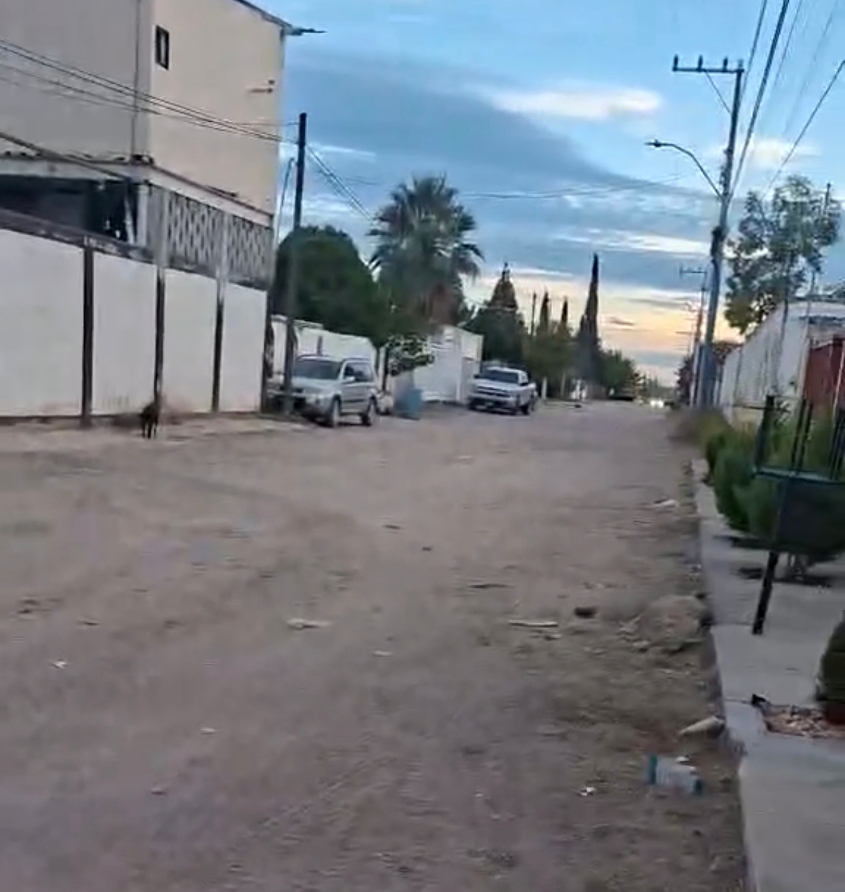 Screenshot_2025-11-23-11-07-57-011_com.google.android.apps.photos-edit