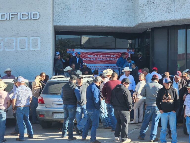 WhatsApp Image 2025-11-04 at 9.51.47 AM