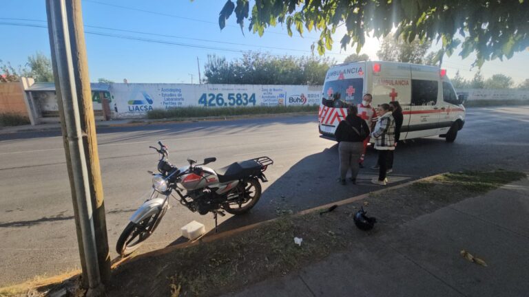 WhatsApp Image 2025-11-05 at 8.42.45 AM