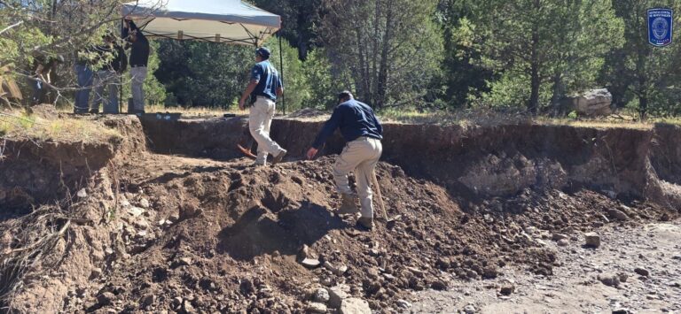 WhatsApp Image 2025-11-07 at 10.37.50 AM