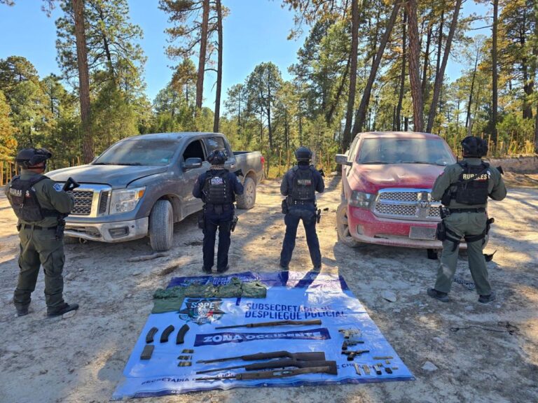 WhatsApp Image 2025-11-10 at 1.06.48 PM