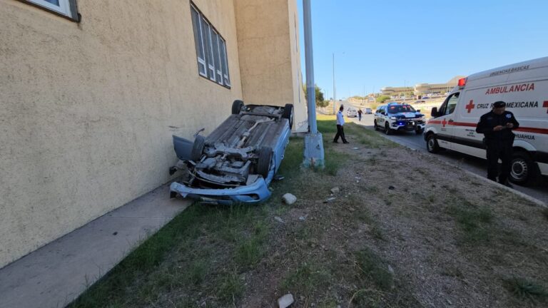 WhatsApp Image 2025-11-10 at 1.24.44 PM