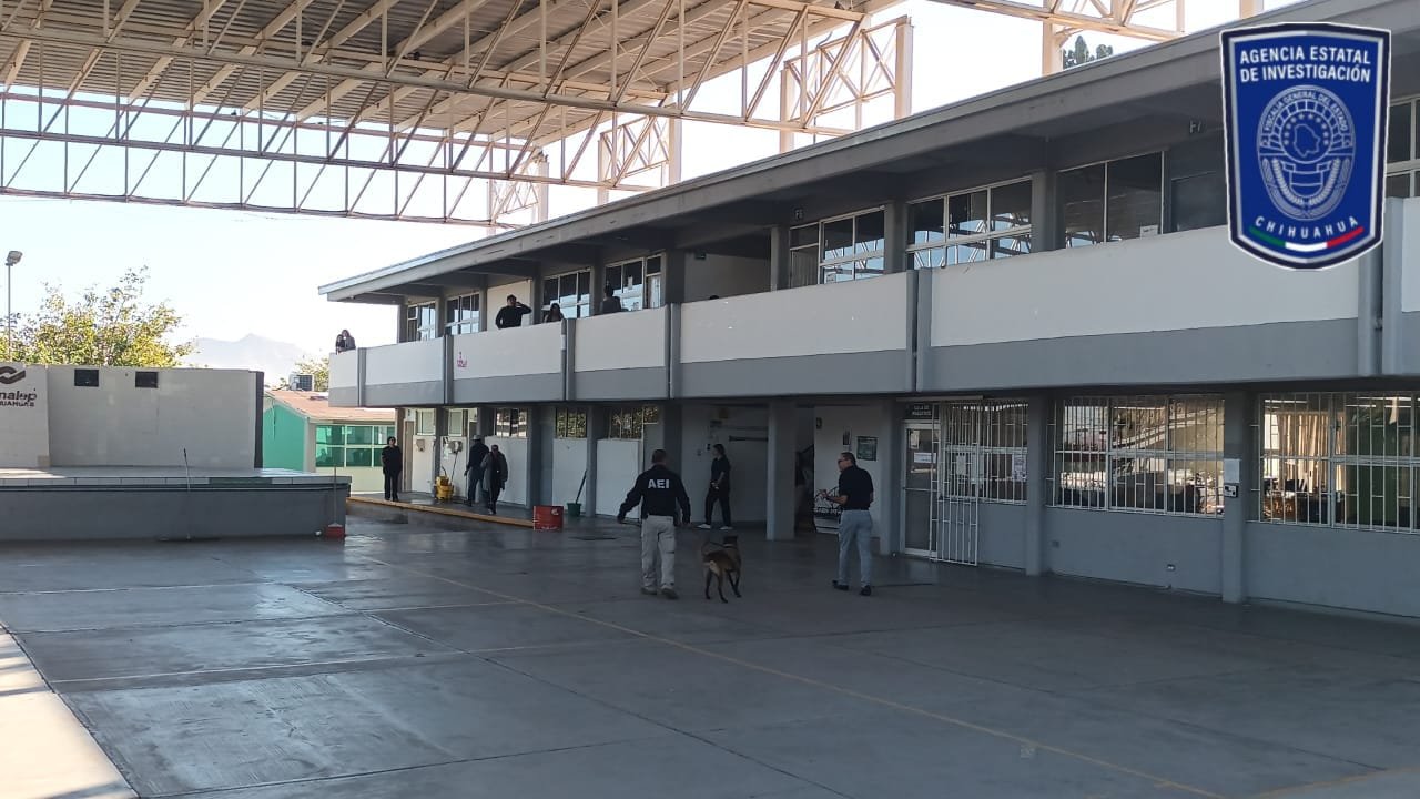 WhatsApp Image 2025-11-10 at 1.28.26 PM