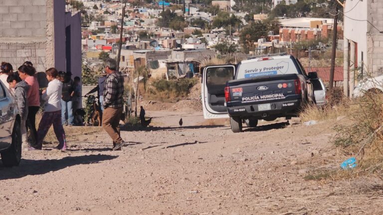 WhatsApp Image 2025-11-10 at 10.12.50 AM