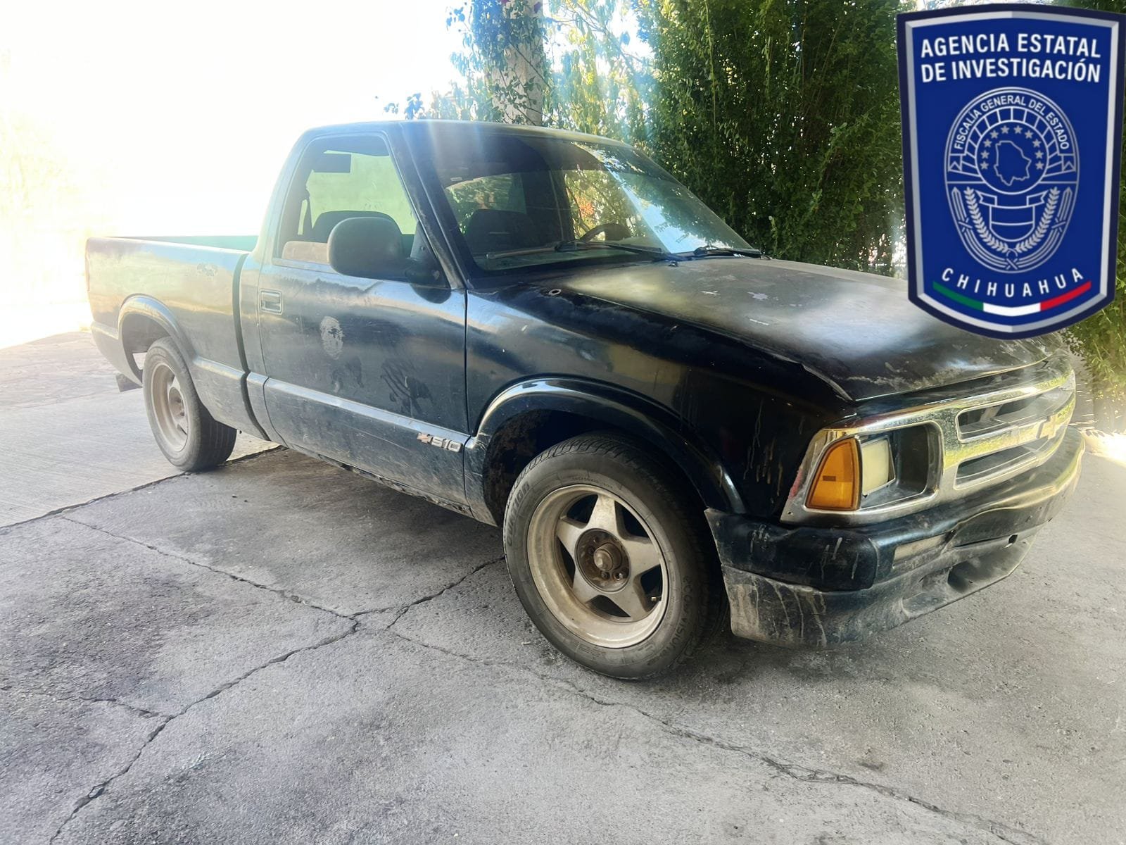 WhatsApp Image 2025-11-11 at 11.43.06 AM