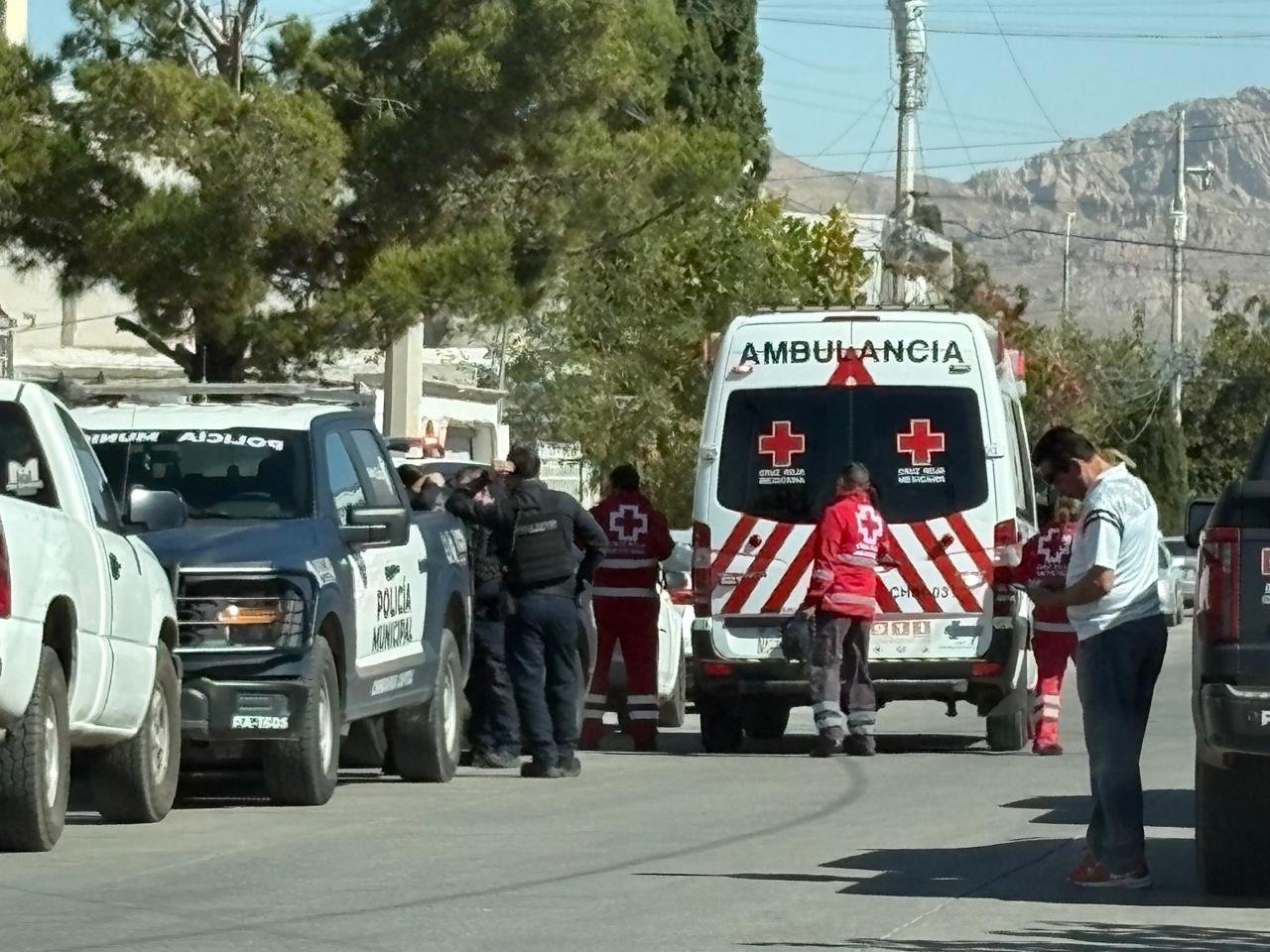 WhatsApp Image 2025-11-11 at 2.10.30 PM