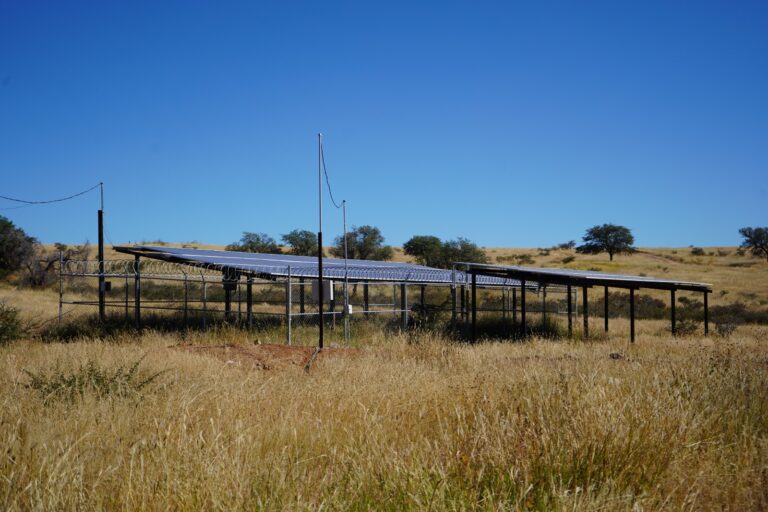 WhatsApp Image 2025-11-18 at 10.43.44 AM