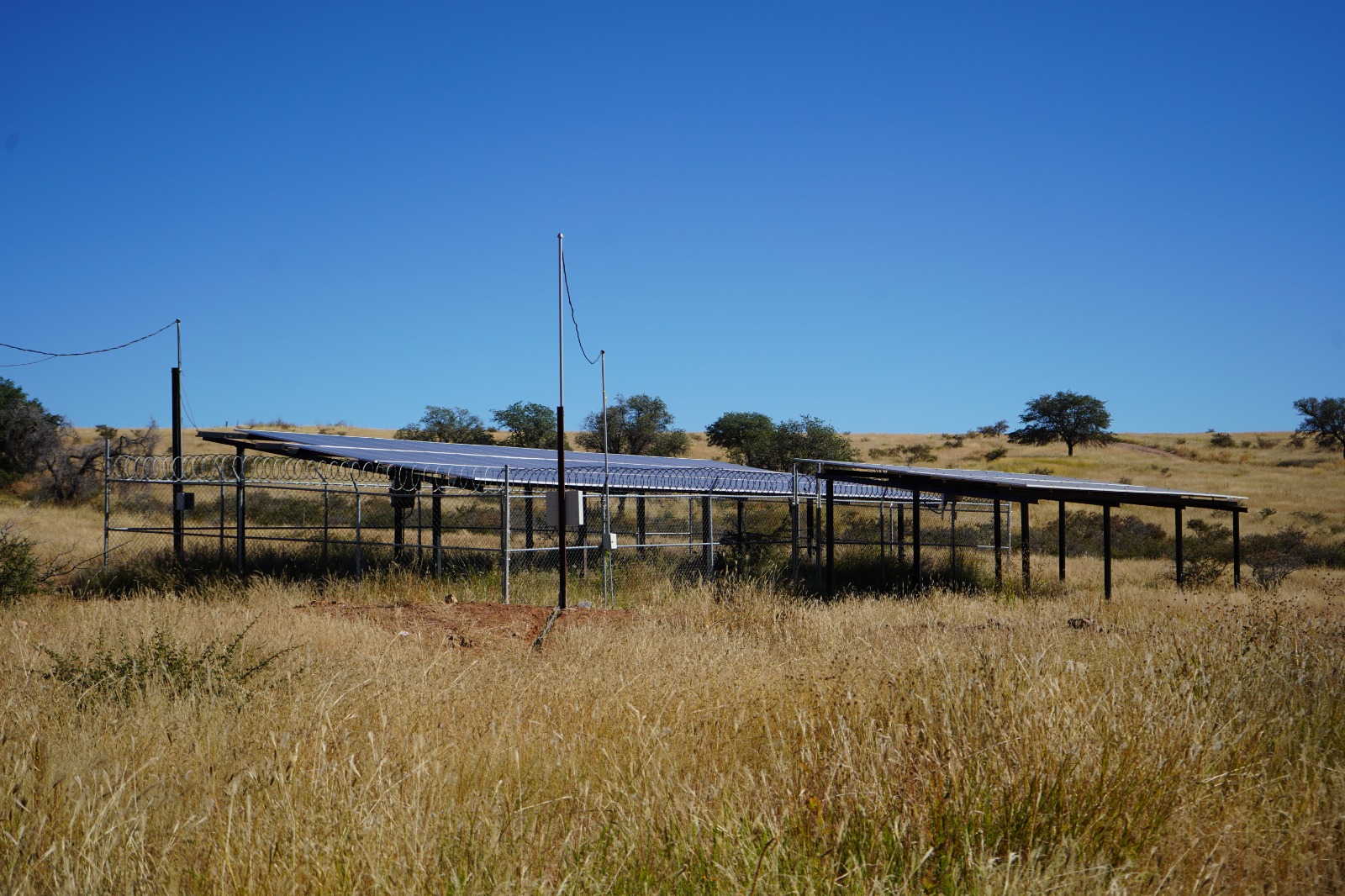 WhatsApp Image 2025-11-18 at 10.43.44 AM