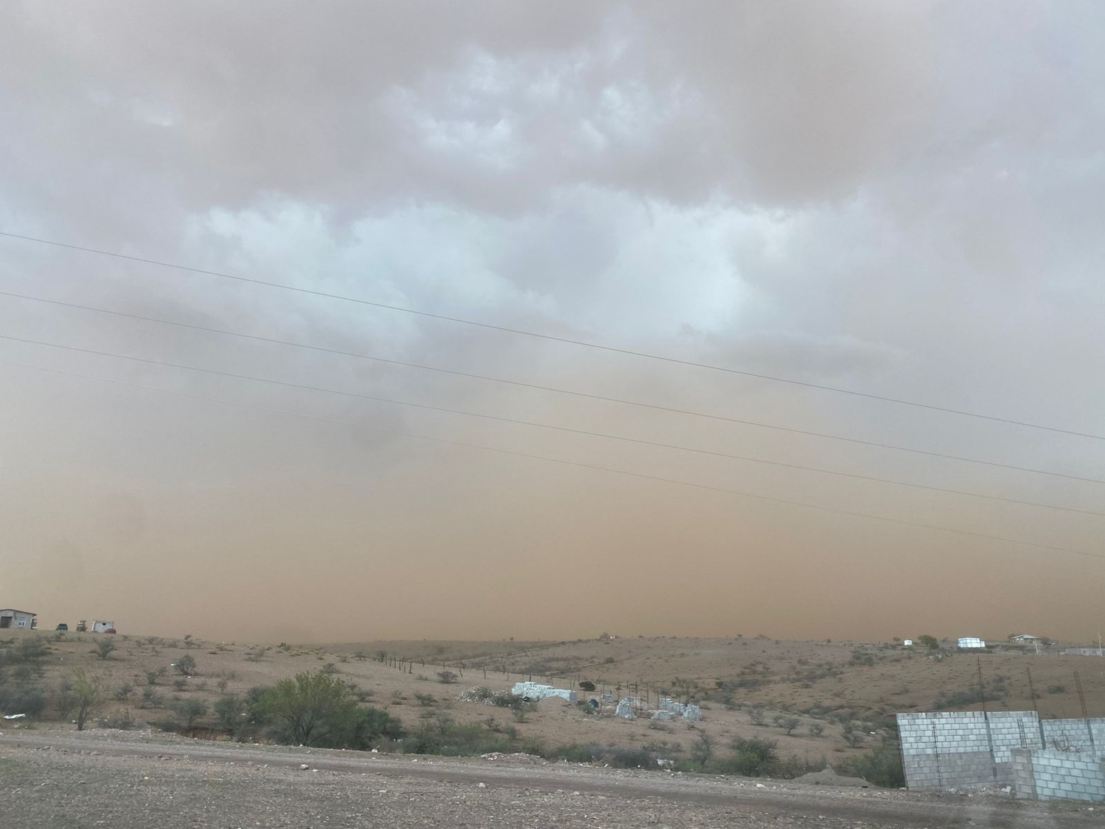 WhatsApp Image 2025-11-18 at 11.41.40 AM