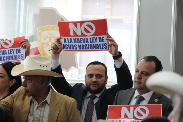 WhatsApp Image 2025-11-18 at 2.25.13 PM