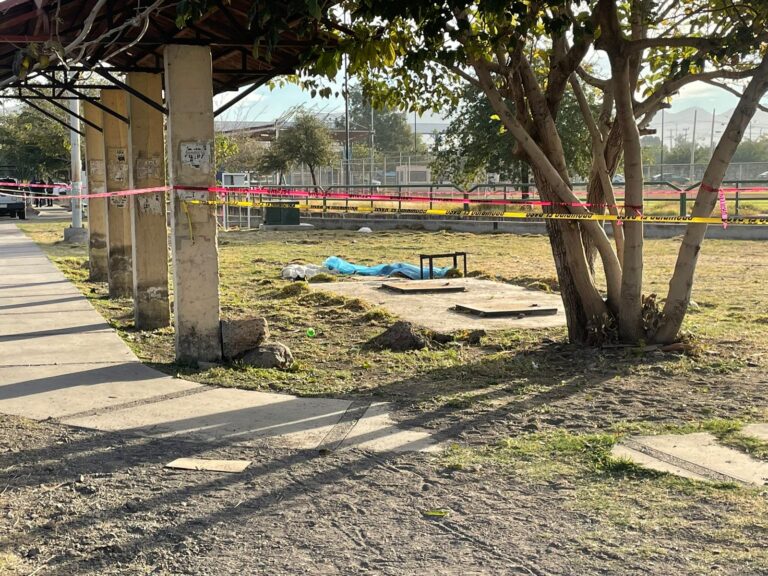 WhatsApp Image 2025-11-18 at 8.58.46 AM