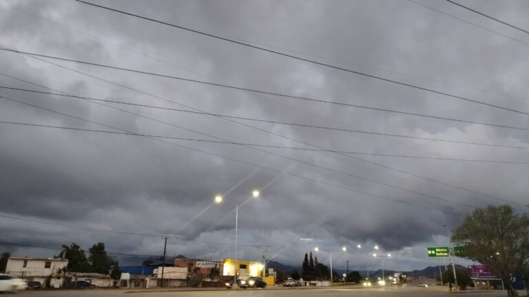 WhatsApp Image 2025-11-19 at 11.18.33 AM