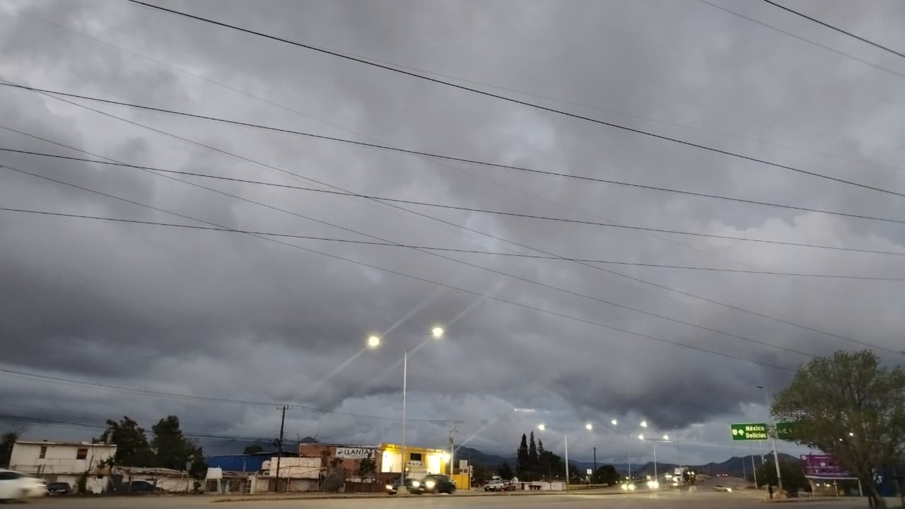 WhatsApp Image 2025-11-19 at 11.18.33 AM