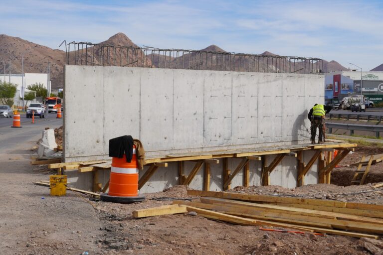 WhatsApp Image 2025-11-19 at 9.46.13 AM