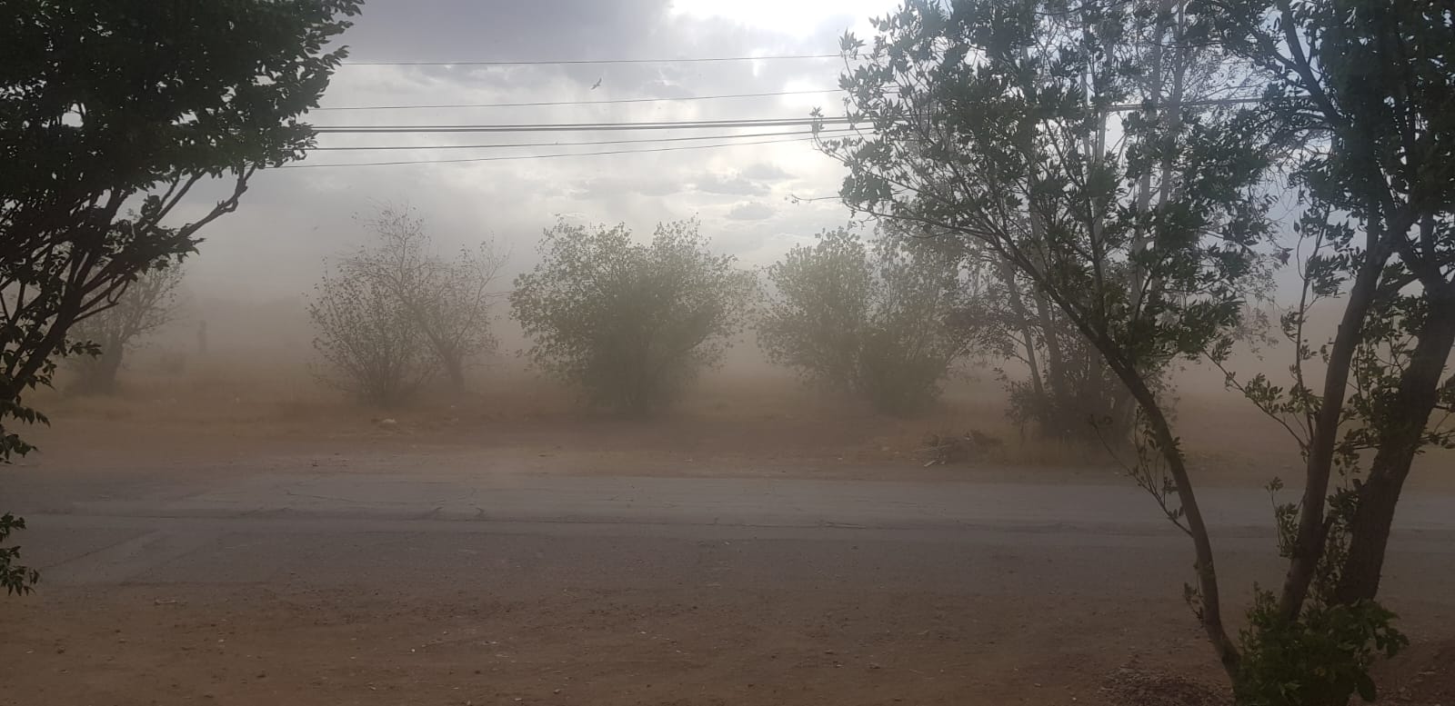 WhatsApp Image 2025-11-20 at 11.38.50 AM (1)