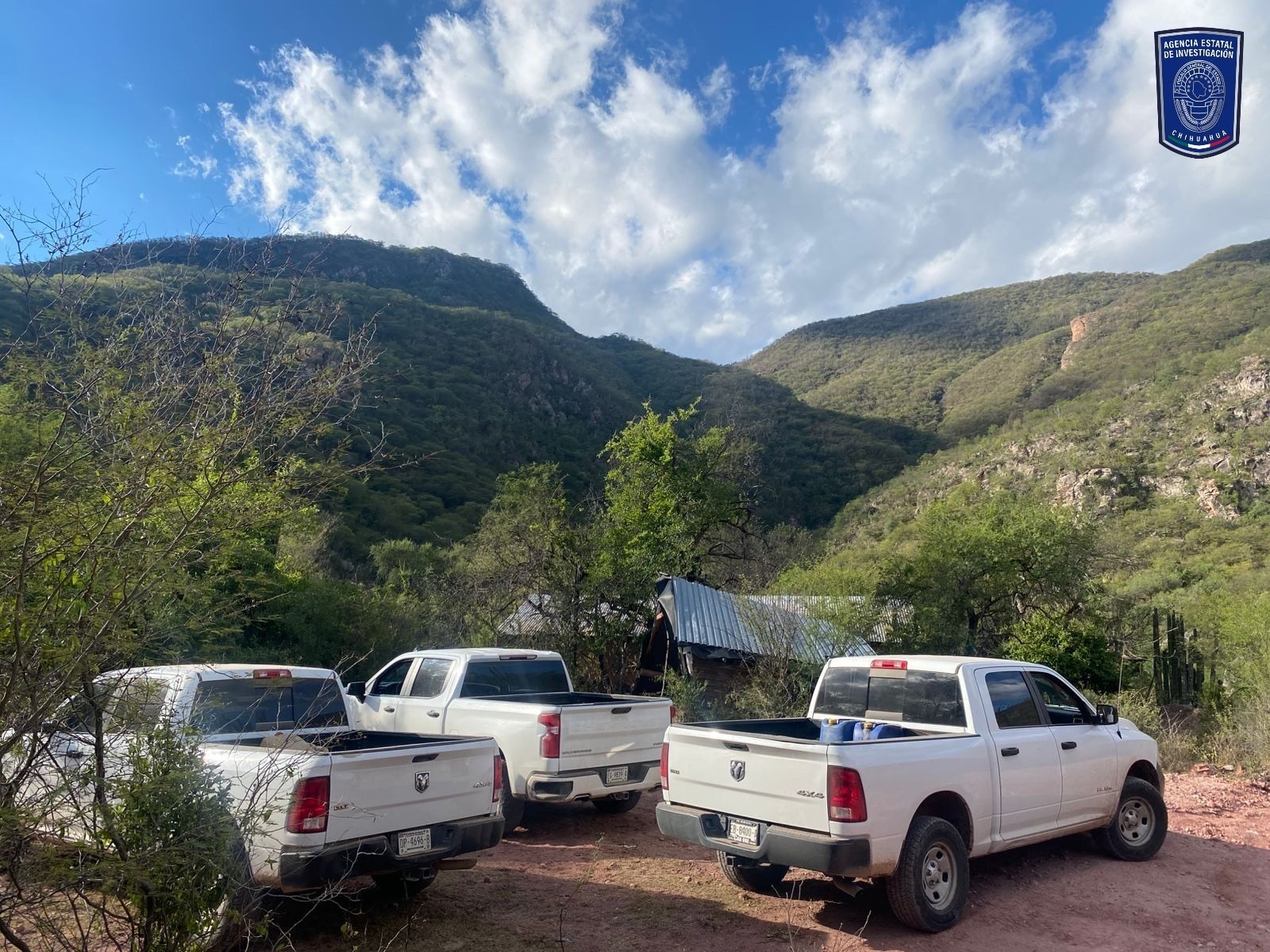 a337c69e-33f0-482e-be7c-ac6d5a4e8714