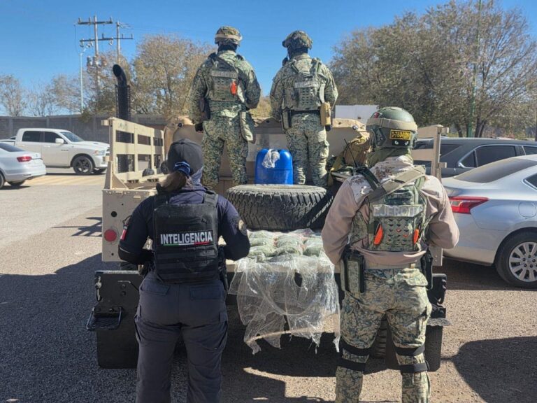 c135c802-013d-404c-a11d-419b989e66e5