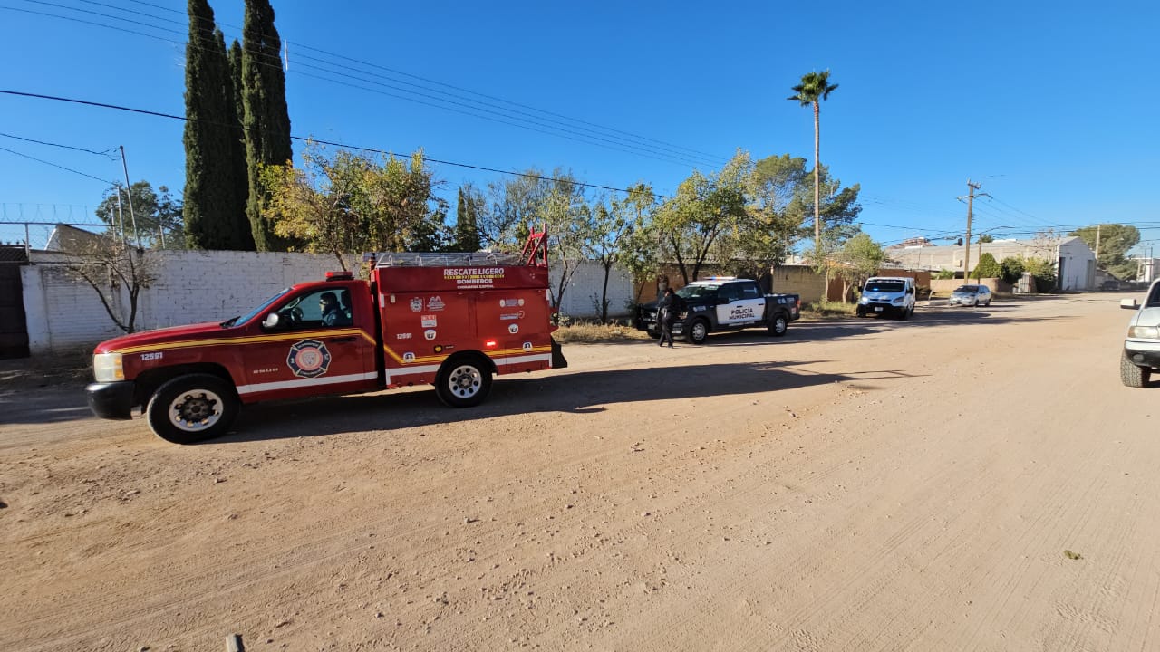 c1a596a7-0755-42b9-859f-16c86091c201