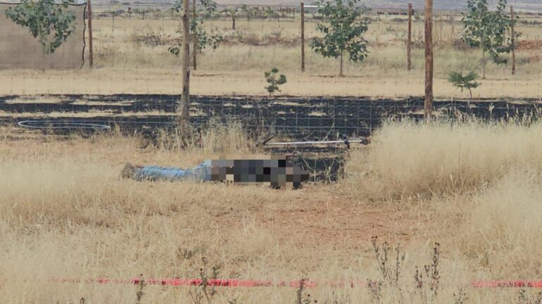 ff389267-37d4-42d8-9286-d88849ec1ac3