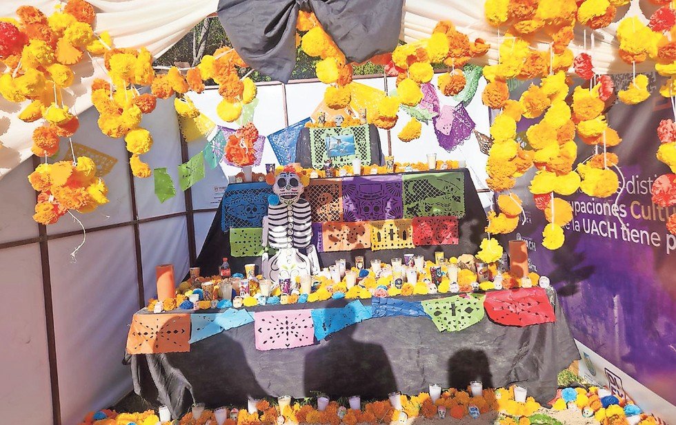 imagen-274-wdavh8IBX