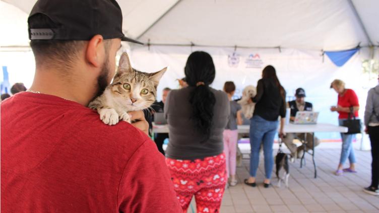 principal_imagen-principal