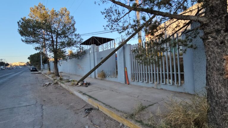 05cafc2e-bcfe-4ccb-bba1-7325d80da272