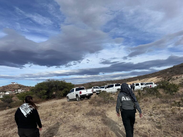 06082fc0-9b2a-4cf9-8fd3-74e3ba437812