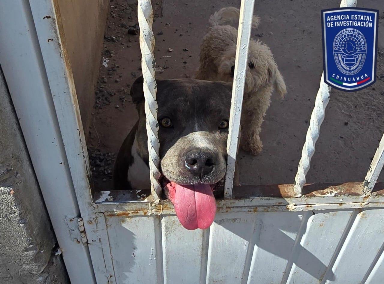 16bf2b38-c6f3-4cd6-94cd-784b0b3f9a9b