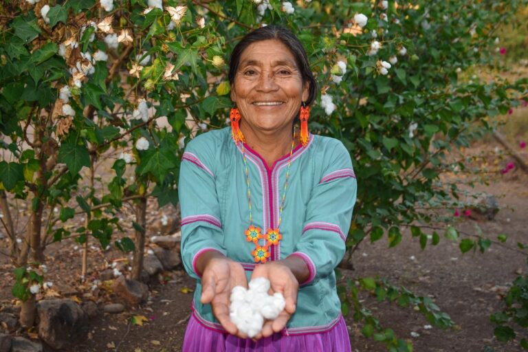 2d11dba0-072e-4a48-bd80-d334622a22d2