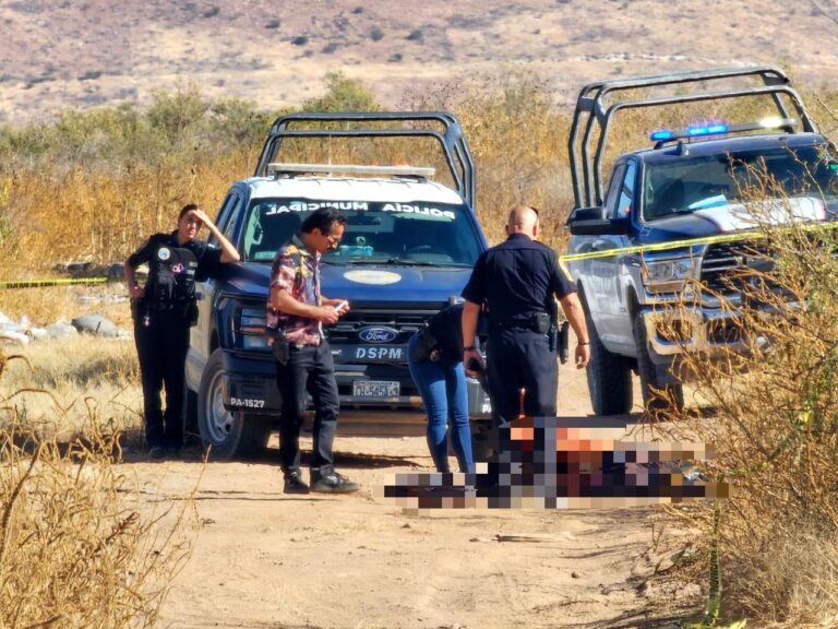 3d49ca9b-1444-44a8-b07f-55b6ff3253eb