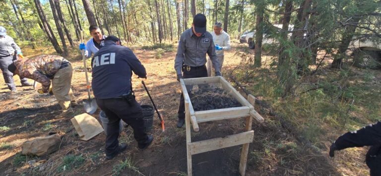 56a23b1b-bb1a-4ba3-97d8-484afe82cffa