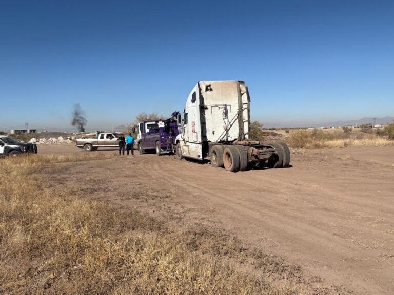 56ceb475-6e52-4f17-bc96-dcd2113e20ae