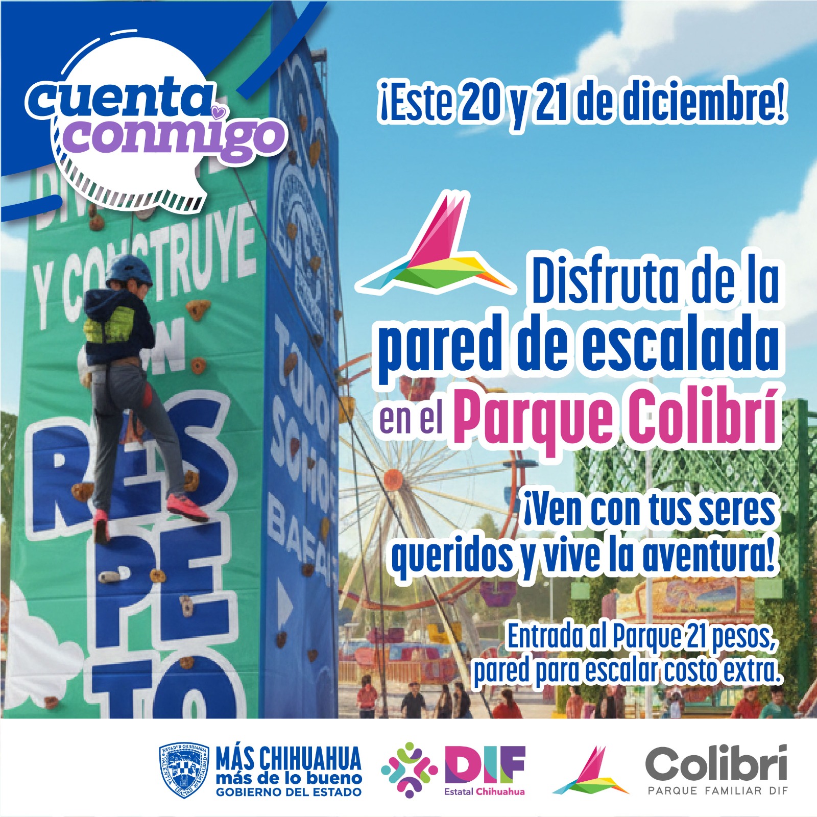 597363266_1453167696810846_4485548058802950438_n