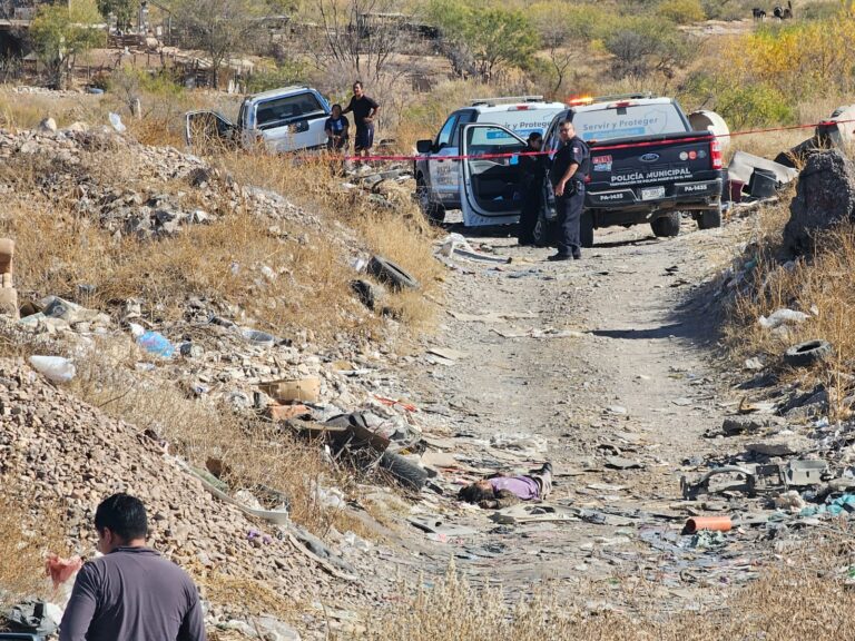 WhatsApp Image 2025-12-13 at 12.28.28 PM