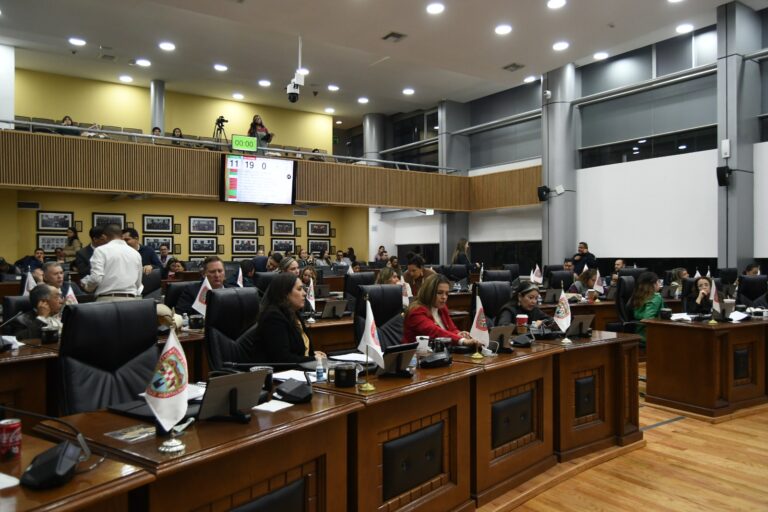 WhatsApp Image 2025-12-16 at 6.35.46 PM