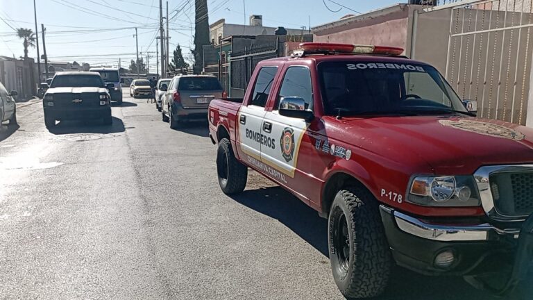 WhatsApp Image 2025-12-20 at 10.54.31 AM