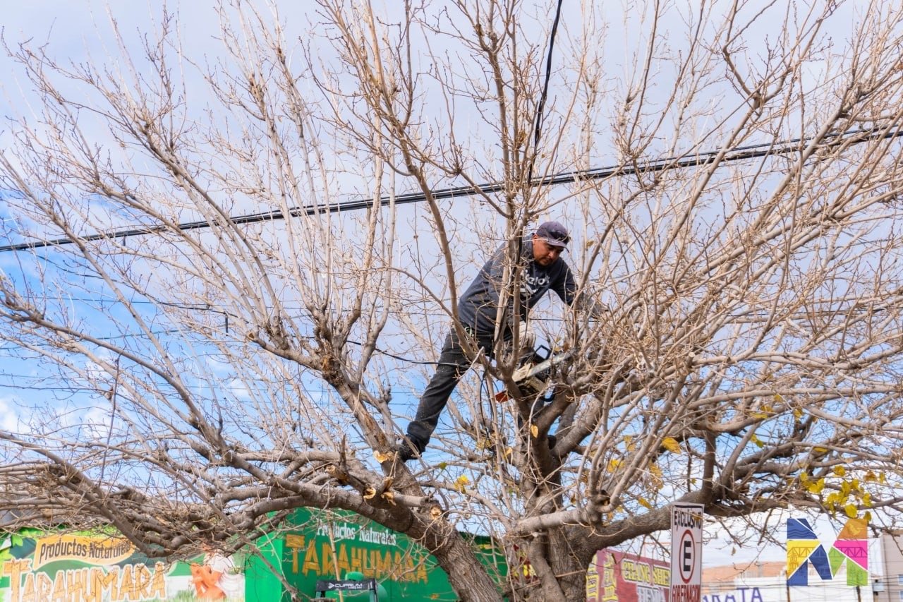 a0a6e6c6-c089-4831-a77d-8ed7350a486c